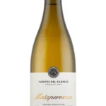 Fuentes del Silencio Mataperezosa 2021
