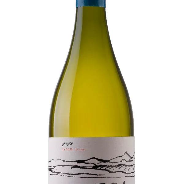 Ventisquero Sauvignon Blanc 75cl. 2021