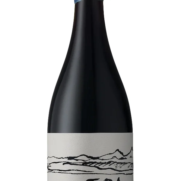 Ventisquero Tara Syrah 75cl. 2019