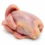 Codorniz