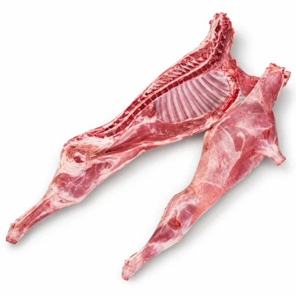 Cordero de Pasto Mallorquín Medio 4,6 kg aprox sobre fondo blanco